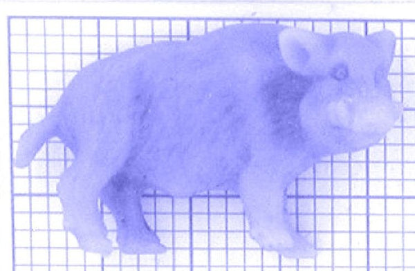 Anhänger Wildschwein Eber