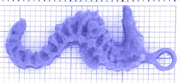Anhänger Seepferdchen groß
