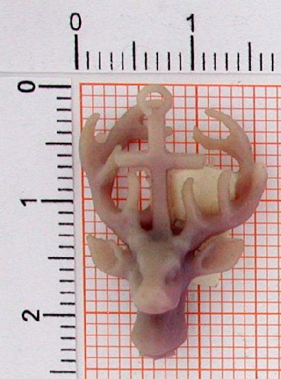 tao70_0-3g Anhänger Meister Jäger - Foto Grösse auf Millimeterpapier