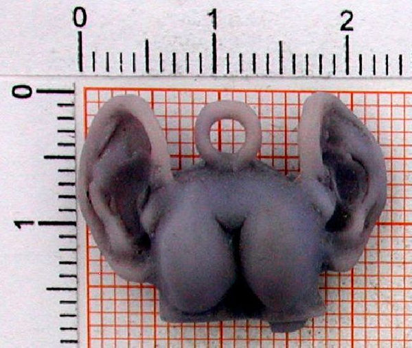 v240 Anhänger Arsch mit Ohren Abgefahrene Geschenke - Foto Grösse auf Millimeterpapier